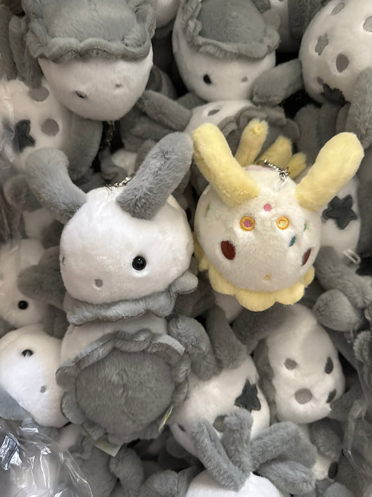 sea bunny