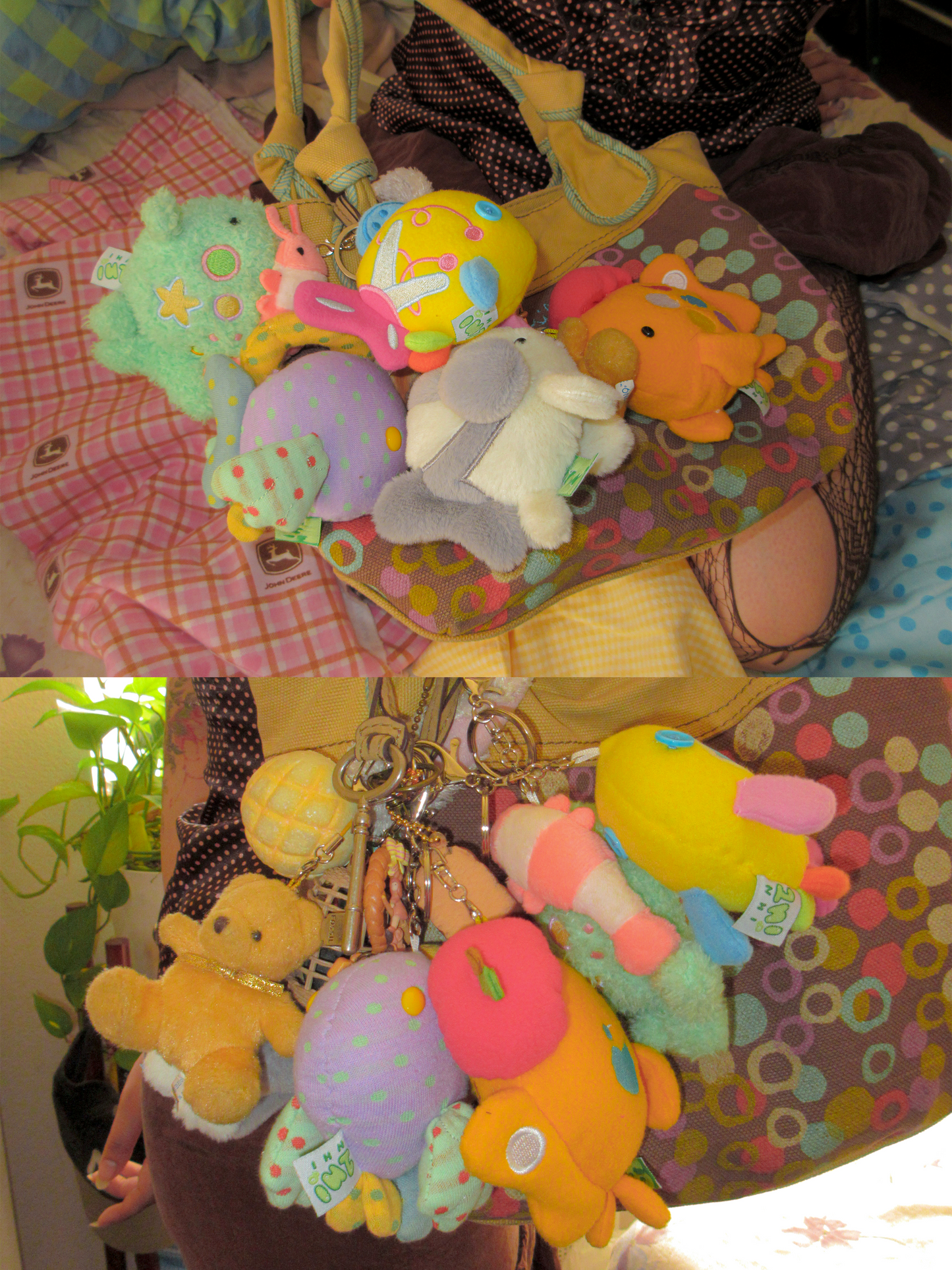 goldfish blind boxes!